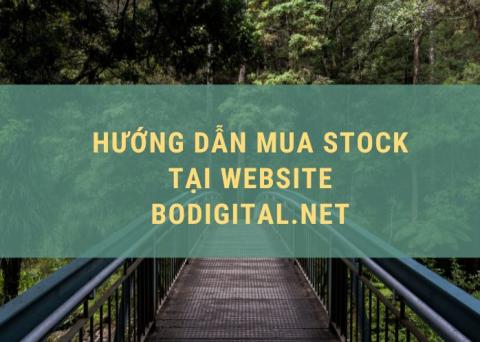 Hướng dẫn mua Stock tại website Bodigital.net